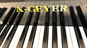 a geyer